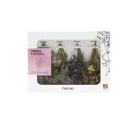 Horae Coffret L'Herbier 8 Bouquets à Infuser Bio Idée Cadeau