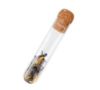 Horae - Infuseur à thé et infusions vrac en verre transparent microperforé - Bouchon en liège - Résiste aux fortes chaleurs - Convient à toutes les tasses et théières