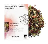 Horae Infusion Promenade d'Automne Bio Vrac Vigne Rouge Pomme