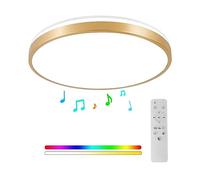Horevo Plafonnier Bluetooth 30CM avec Télécommande, Plafonnier En Or Champagne 24W, Lumière Dimmable et Changeante de Couleur avec Haut-Parleur Convient Pour la Chambre des Enfants