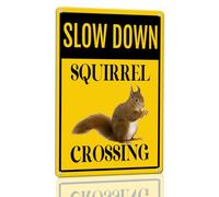 Horienteeon Panneau en aluminium XING avec inscription « Squirrel Crossing » - 14 cm x 20 cm - Robuste - Antirouille - Pour extérieur, ferme, extérieur