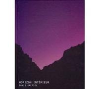 Horizon Intérieur David Saltiel Marc Donnadieu (Auteur), Xavier Testot (Auteur), Nicolas Michelin (Auteur), Bernard Marcelis (Auteur), Christian Gattinoni (Auteur)