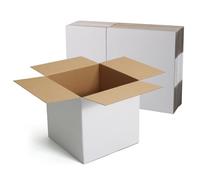 HORLIMER Boîte Carton Emballage Colis 25,4x25,4x25,4 cm, Lot de 15 Petites Boîte Carton d'Expédition en Blanche, Idéales pour l'Emballage et l'Envoi Postal et comme Boîtes Cadeau