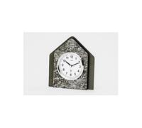 AMS montre 5169