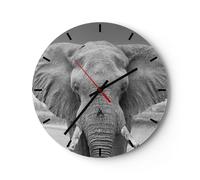 Horloge murale en verre 30x30cm Éléphant Afrique Des Animaux Wall Clock