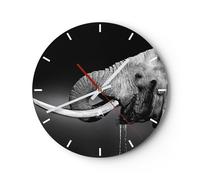 Horloge murale en verre 30x30cm Silencieuse éléphant défense nature Wall Clock