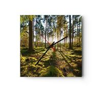 Horloge murale en verre 30x30cm Silencieuse forêt arbre nature Wall Clock