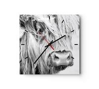 Horloge murale en verre 30x30cm Vache Écossais Des Animaux Wall Clock