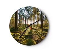 Horloge murale en verre 40x40cm Silencieuse forêt arbre nature Wall Clock