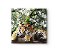 Horloge murale en verre 40x40cm Silencieuse Tigre Jungle Repos Wall Clock