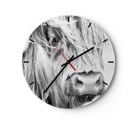 Horloge murale en verre 40x40cm Vache Écossais Des Animaux Wall Clock