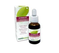 Hornbeam ou Charme commun (Carpinus betulus) Remèdes floraux Naturalma - Gouttes 30 ml - Extrait liquide sans alcool - Essences florales - Vegan et sans alcool