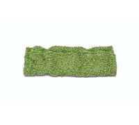 Feuillage - feuillu Moyen Vert