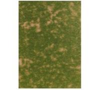 HORNBY FRANCE - BUSCH - 1303 - CIRCUIT - TRAIN - HERBE D'ÉTÉ G