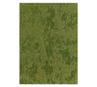 Hornby France - Busch - 1306 - Circuit - Train - Prairie D'été