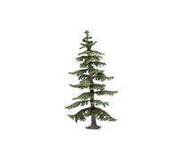 Grand Sapin Nordique
