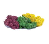 Hornby Lichen - Large Autumn Mix