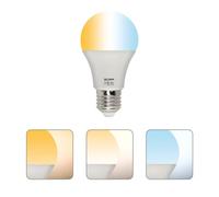 Horoz Electric LED E27 10W 940 lm COMBO Ampoule LED 3CCT Réglable 3000K/4000K/6400K - Remplacement Économique Halogène 68W - Lumière Instantanée, Sans Clignotement, Plafonnier, Lampe de Table