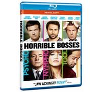 HORRIBLE BOSSES