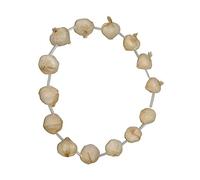 Horror-Shop Collier à L'ail