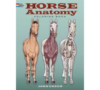 Horse Anatomy