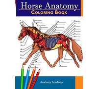 Horse Anatomy Coloring Book
