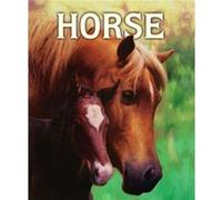 Horse by Malachy Doyle & Illustrated by Angelo Rinaldi Malachy Doyle (Auteur)