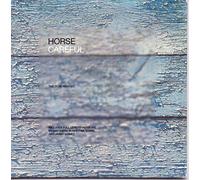 Horse - Careful Remix [Import]