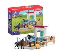 Horse Club Box Avec Jument Et Poulain Appaloosa