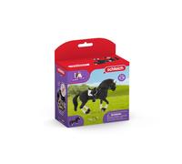 schleich 42457 HORSE CLUB Jouet Etalon Frison concours équestre 4 Pièces - Figurine Cheval Réaliste avec Accessoires - Cadeau pour Garçons et Filles à Partir de 5 ans