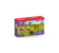 Horse Club Famille De Mini-Shetlands