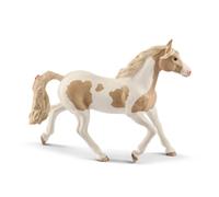 Horse Club Jument Paint Horse