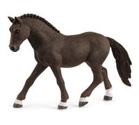 Horse club poney de selle allemand