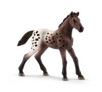 Horse Club Poulain Appaloosa