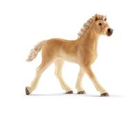 Horse Club Poulain Haflinger