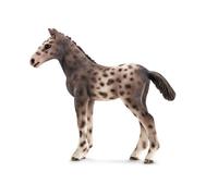 Horse Club Poulain Knabstrupper