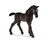 Horse Club Poulain Lipizzan
