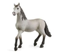 Horse Club Poulain pure race espagnole