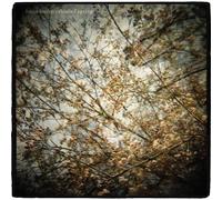 Horse Feathers - Thistled Spring