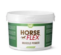 HORSE FLEX Poudre complexe Muscle Power pour chevaux pour soutenir les muscles - 4200 g