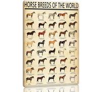 Horse Knowledge - Plaque en métal - Races de chevaux du monde - Poster vintage - 20,3 x 30,5 cm - Tableau de connaissances vintage - Art mural éducatif pour café, salon