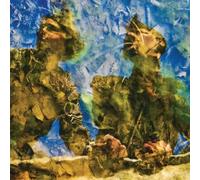 The Horse's Ha – Waterdrawn – Vinyle