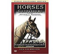 Horses Of Gettysburg G
