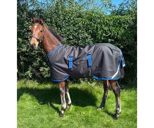 Horseware Amigo Ripstop 900D Foal Turnout 50g la couverture poulain ajustable 100 cm