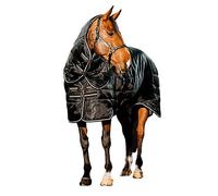 Horseware Easy-Layer Stable Plus 54 Noir 200 g