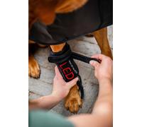 Horseware Guêtre de Thérapie par Lumière Rouge LED pour Animaux de Compagnie Guêtre pour chien avec lumière LED rouge, à l'unité taille unique