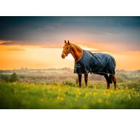 Horseware Ireland Amigo Ripstop 900D Fleece Lined Turnout 50g Witney Navy - 155 cm