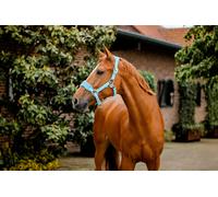 Horseware Licol de Pansage ® Signature parfait pour nettoyer la tête du cheval Cob = Pur-sang