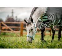 Horseware Licol Field Safe Licol de sécurité Full = Cheval