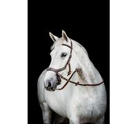 Horseware Micklem 2 Multi Bridle La bride "tout en un" Cob